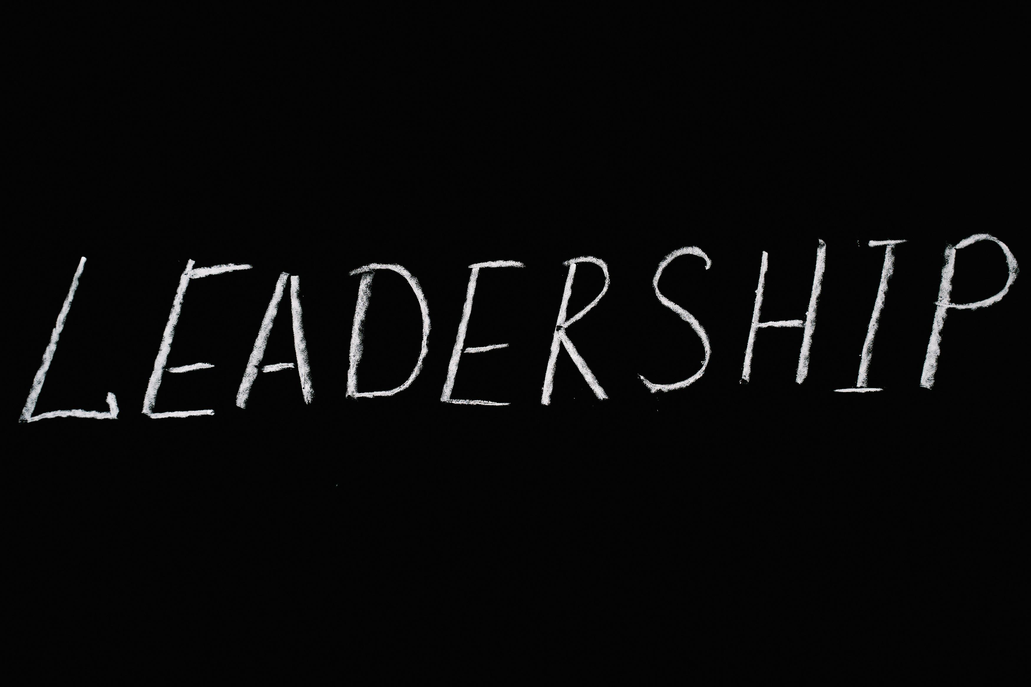 The 360-Degree Leadership Framework  | Complimentary discovery 1:1  call with instructor